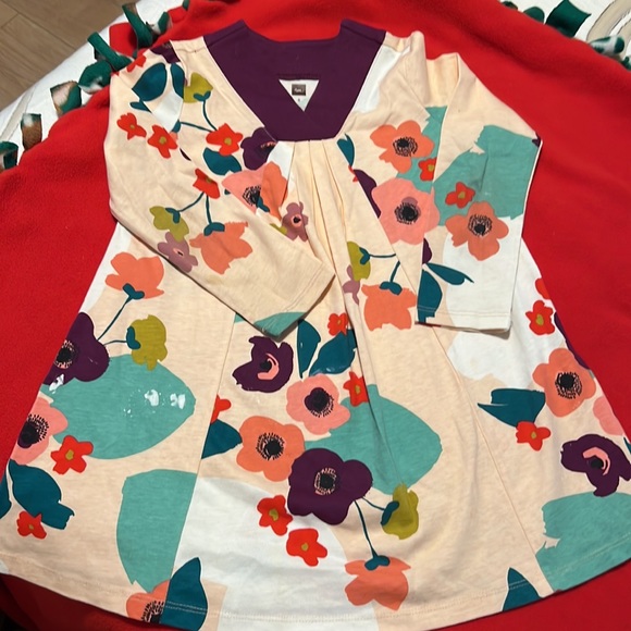 5 items total. 2 Tea dresses, 1 Hanna Anderson, 1 Gap, 1 The Children’s Place. - Picture 9 of 14